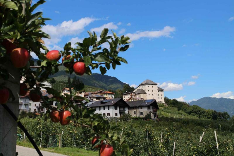 vacanze in Trentino Val di Sole 12